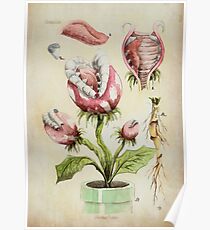 Piranha Plant Botanical Illustration Poster
