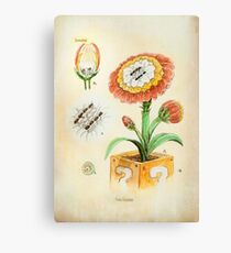 Fire Flower Botanical Illustration Canvas Print