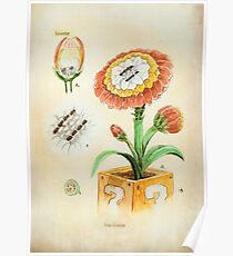 Fire Flower Botanical Illustration Poster