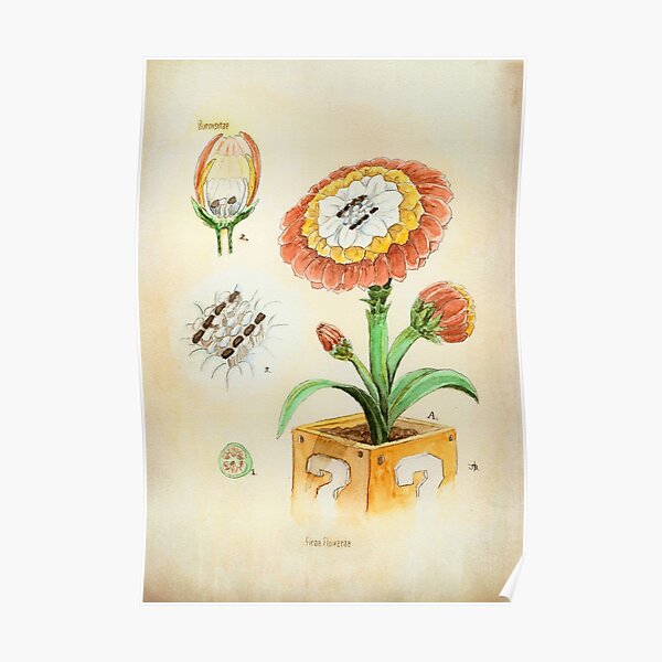 Fire Flower Botanical Illustration Poster