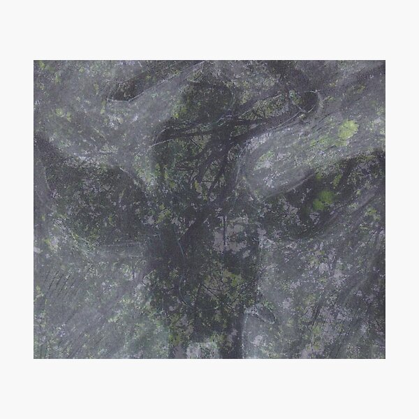 The Night Knight Photographic Print