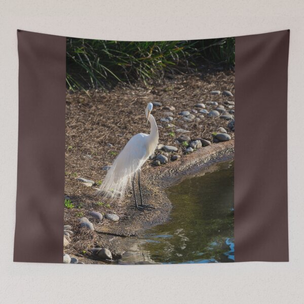 Item preview, Egret Pondering designed and sold by mljdwhite.