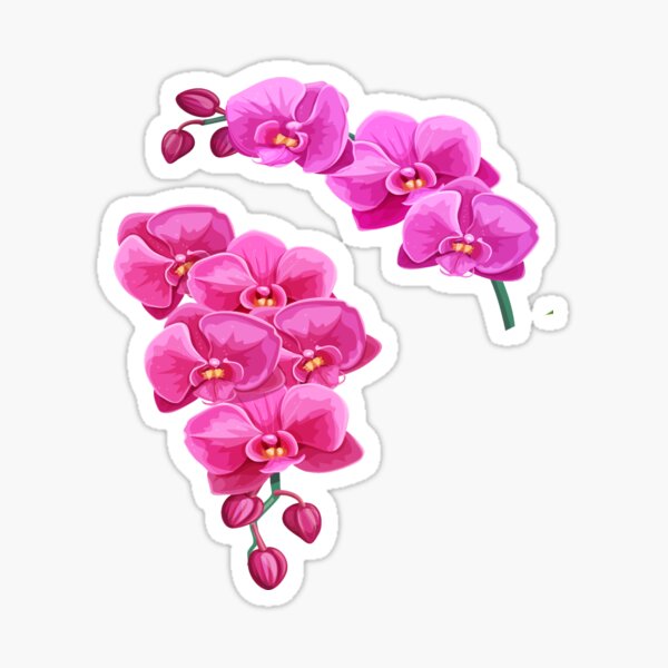 Tropical Flowers, Orchids Sticker