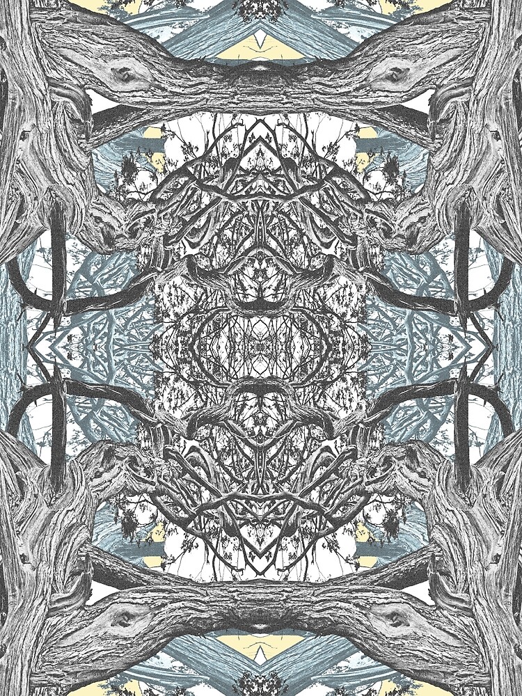 OLD JUNIPER MANDALA 1 by JeffBossler