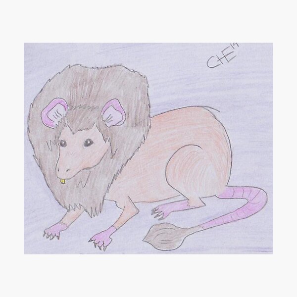 Lion Rat Photographic Print