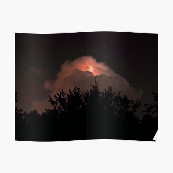 Escape of The Dolphin Poster