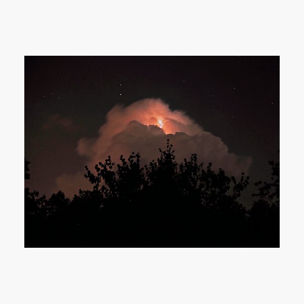 Escape of The Dolphin Photographic Print