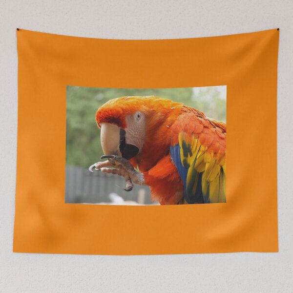 Item preview, No pictures please! designed and sold by derbyshireduck.