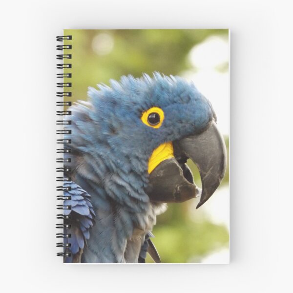 Item preview, Mohawk Macaw! designed and sold by derbyshireduck.