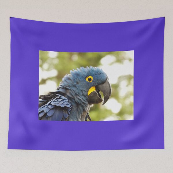 Item preview, Mohawk Macaw! designed and sold by derbyshireduck.