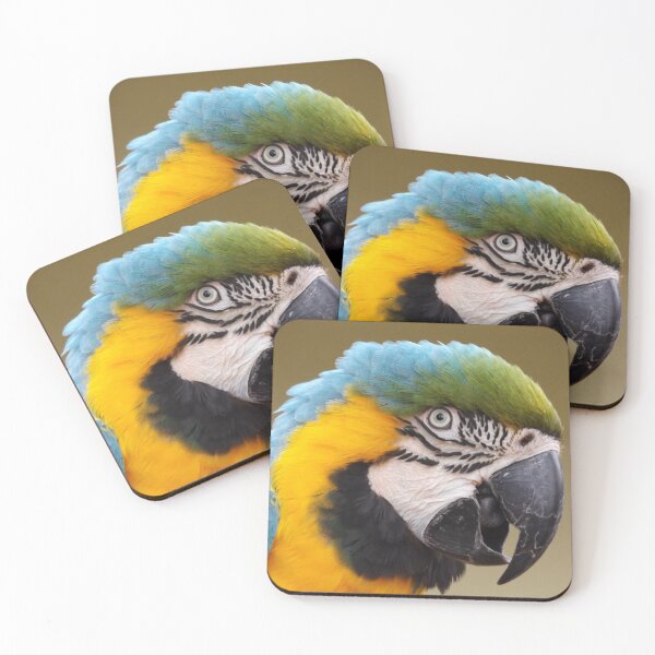 Item preview, Colourful Macaw designed and sold by derbyshireduck.