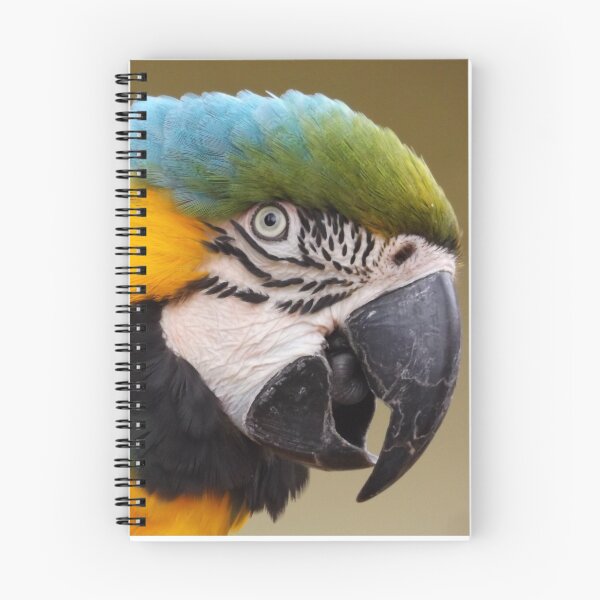 Artikelvorschau, Bunter Macaw entworfen und verkauft von derbyshireduck.