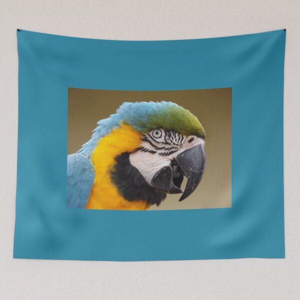 Item preview, Colourful Macaw designed and sold by derbyshireduck.