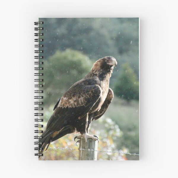 Item preview, Eagle In The Rain designed and sold by Asoka.