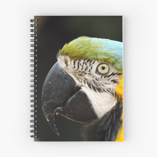 Item preview, Colourful Macaw profile designed and sold by derbyshireduck.