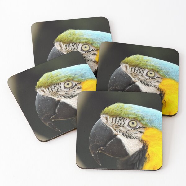 Item preview, Colourful Macaw profile designed and sold by derbyshireduck.