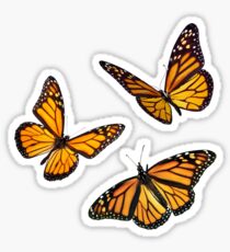 monarch butterfly sticker pack orange Sticker
