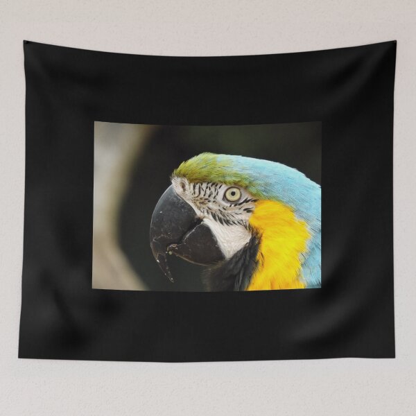 Item preview, Colourful Macaw profile designed and sold by derbyshireduck.