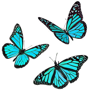 Artwork thumbnail, monarch butterfly sticker pack blue by Katie’s Stickers