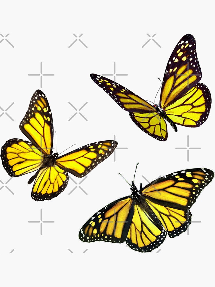 Thumbnail 3 of 3, Sticker, monarch butterfly sticker pack yellow designed and sold by Simplykatie.