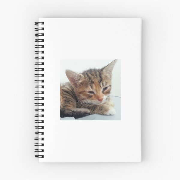 Item preview, Kitten designed and sold by amylw1.