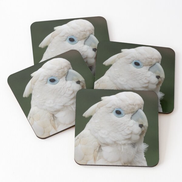 Item preview, Blue eyed, white parrot designed and sold by derbyshireduck.
