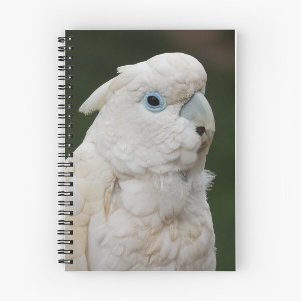 Item preview, Blue eyed, white parrot designed and sold by derbyshireduck.