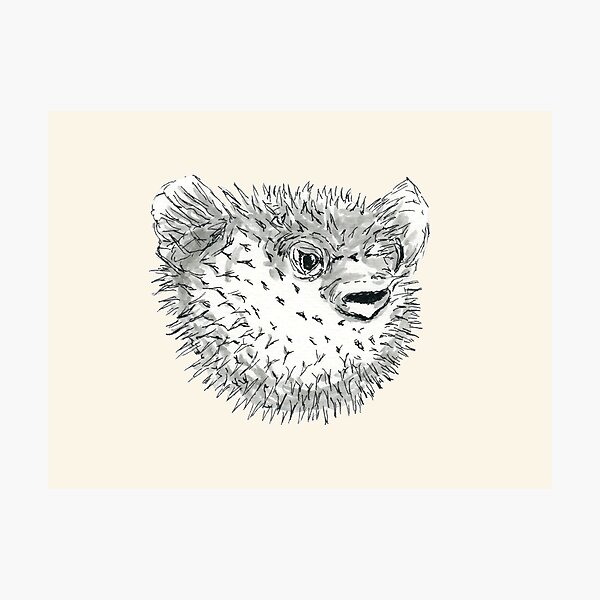 Photographic Print