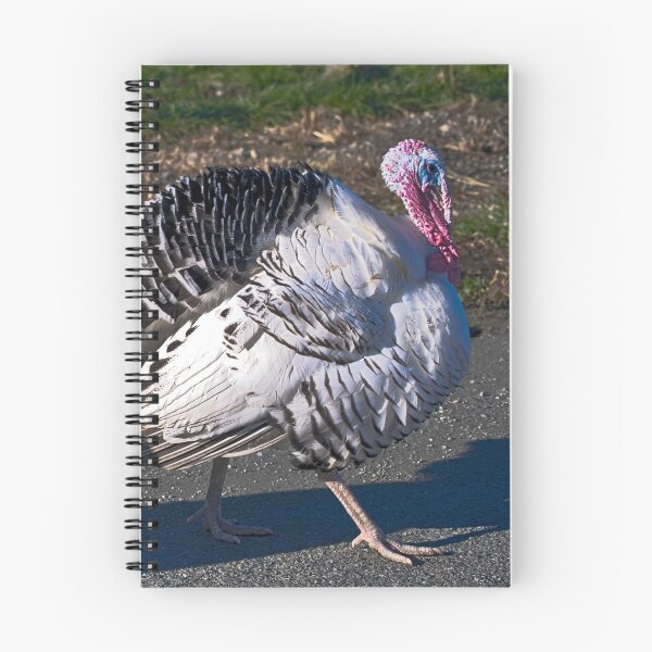 Item preview, Happy Thanksgiving designed and sold by Bryan Spellman.