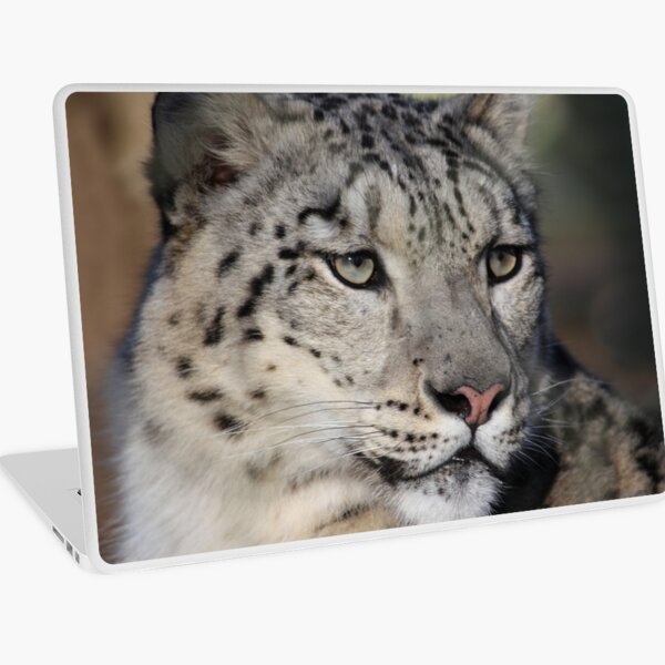 Snow Leopard Uncia Uncia Laptop Skin
