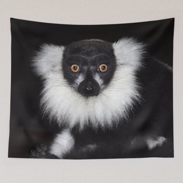 Item preview, Mr Lemur designed and sold by Terri Waters Photography & Design.