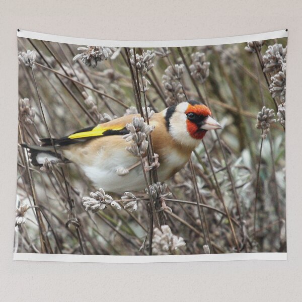Item preview, Goldfinch designed and sold by Terri Waters Photography & Design.