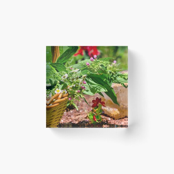 Item preview, The Herb Basket designed and sold by Thymely.