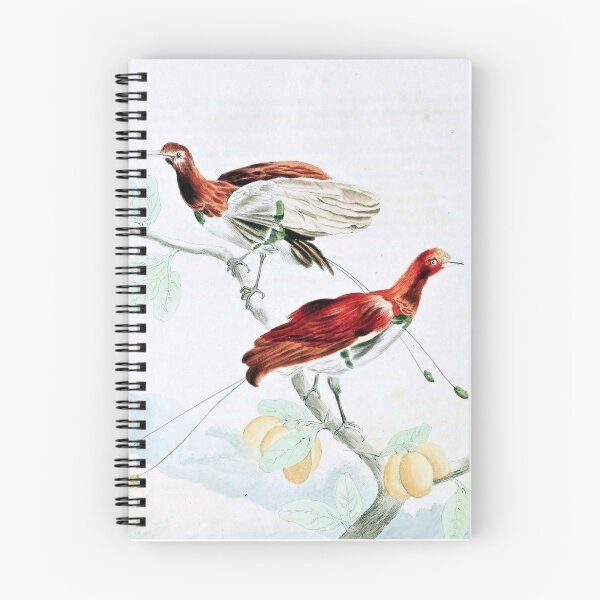 Item preview, King Paradise Bird designed and sold by goldenmenagerie.