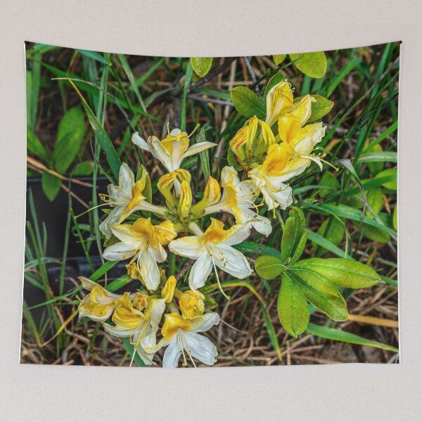 Item preview, Second Year Azalea in Bloom designed and sold by Bryan Spellman.