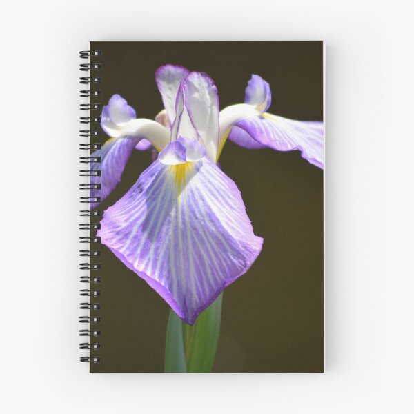 Item preview, Purple Iris designed and sold by Susan Watson.