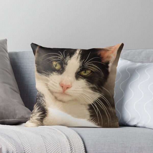Item preview, Relaxing black and white cat designed and sold by HaleyRedshaw.