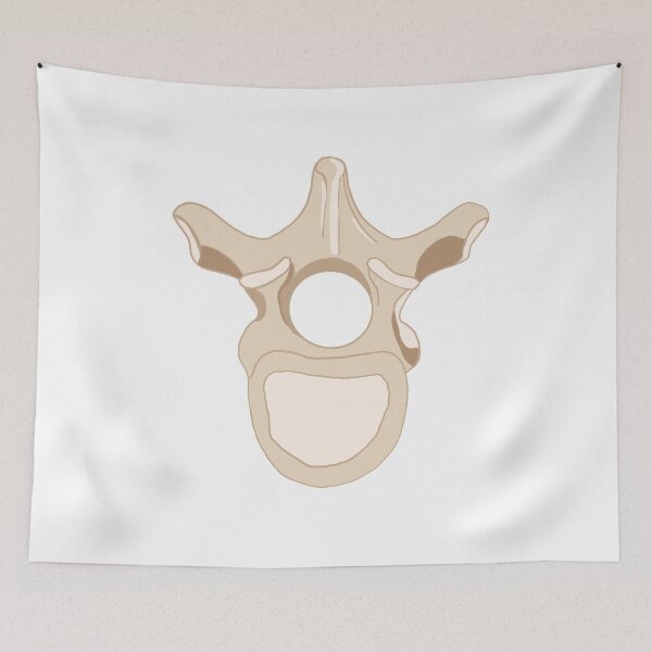 Item preview, Vertebrae bones designed and sold by carries-anatomy.