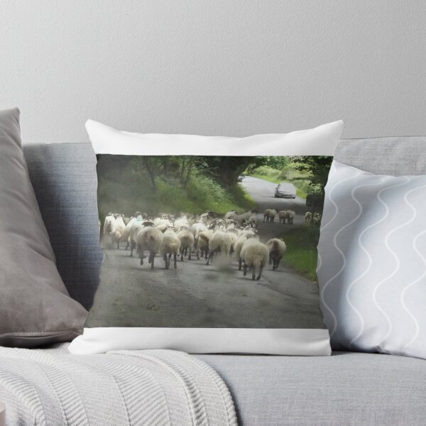 Item preview, mind the locals..... designed and sold by amylw1.
