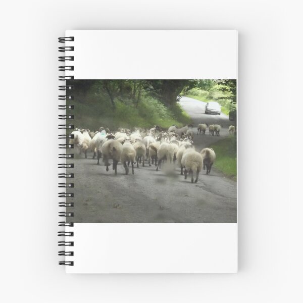 Item preview, mind the locals..... designed and sold by amylw1.