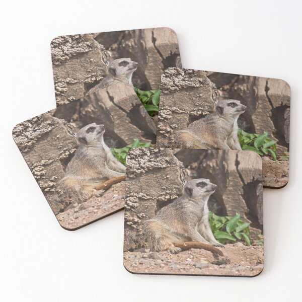 Item preview, Dreamy Meerkat designed and sold by Terri Waters Photography & Design.