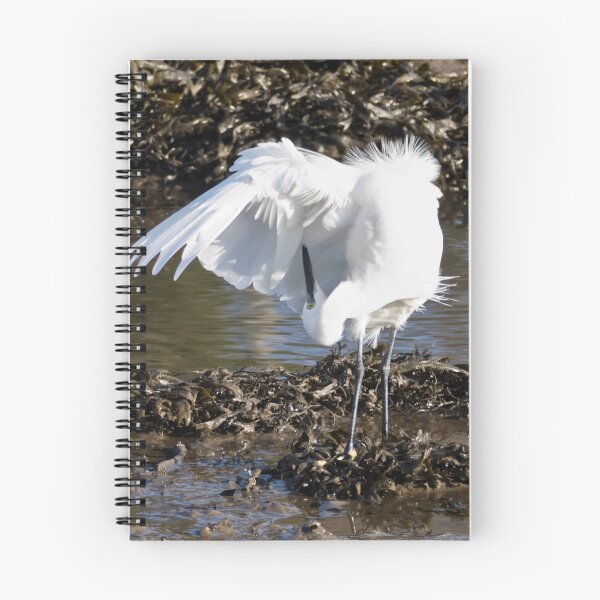 Item preview, Egret Preening designed and sold by Terri Waters Photography & Design.