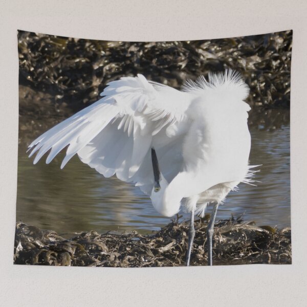 Item preview, Egret Preening designed and sold by Terri Waters Photography & Design.