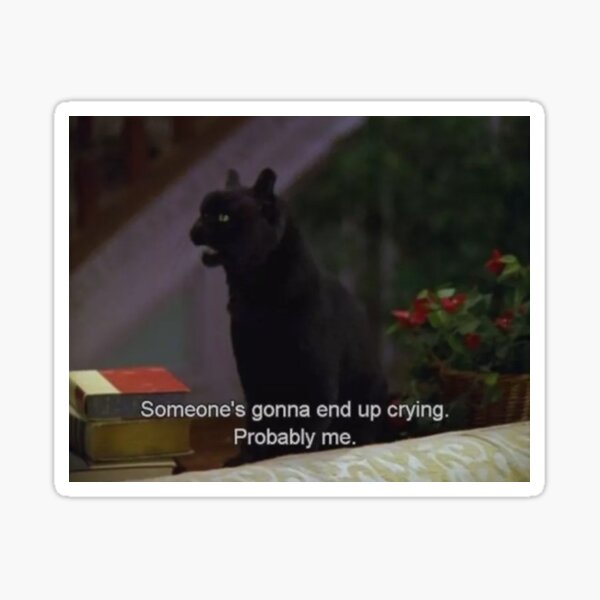 Quote- Sabrina the Teenaged Witch/ Salem the Cat Sticker