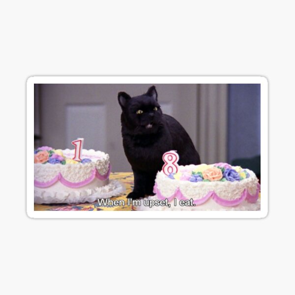 Item preview, Quote- Sabrina the Teenaged Witch/ Salem the Cat designed and sold by erinaceous.