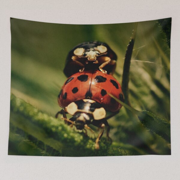 Item preview, SUMMER BUGGIN'  designed and sold by NICK COBURN PHILLIPS.