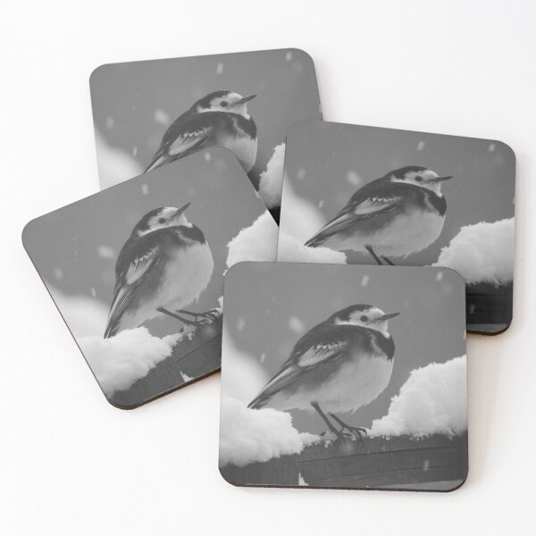 Aperçu de l'œuvre Pied Wagtail In The Snow créée et vendue par Terri Waters Photography & Design.