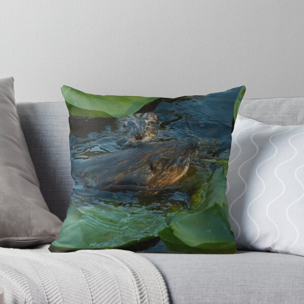 Item preview, Otters Playing designed and sold by Matthew Kochel JJ In A Jayco.