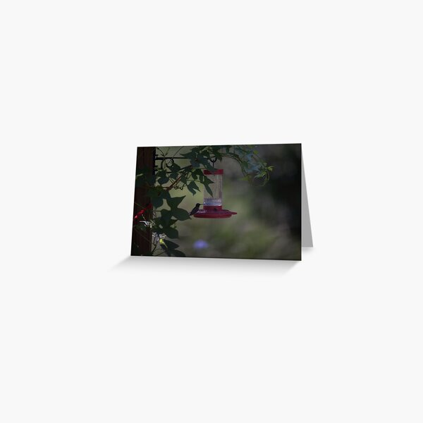 Hummer Silhouette Greeting Card