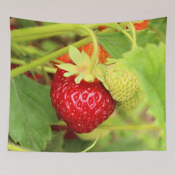 Item preview, Red Strawberry designed and sold by Susie Kramer.